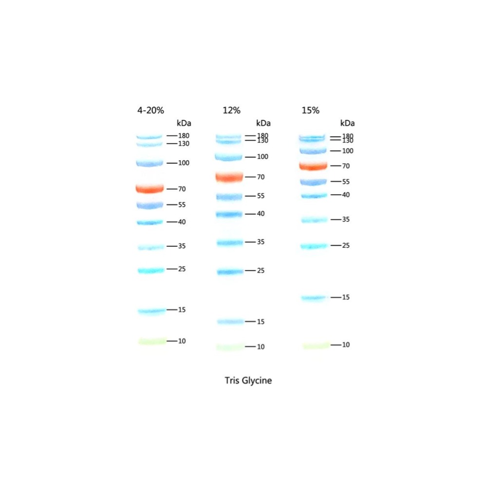 彩名堂-精准展望, 专业剖析