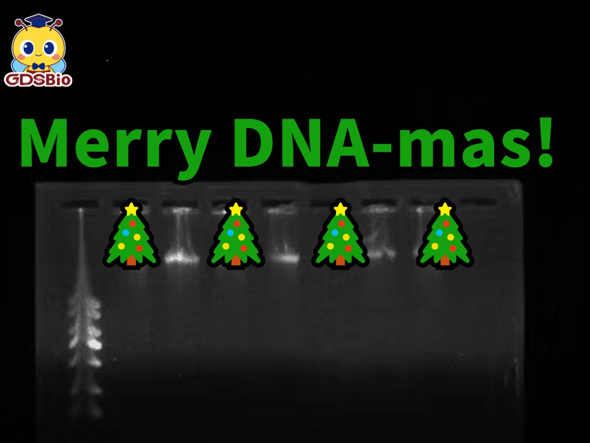 彩名堂-精准展望, 专业剖析