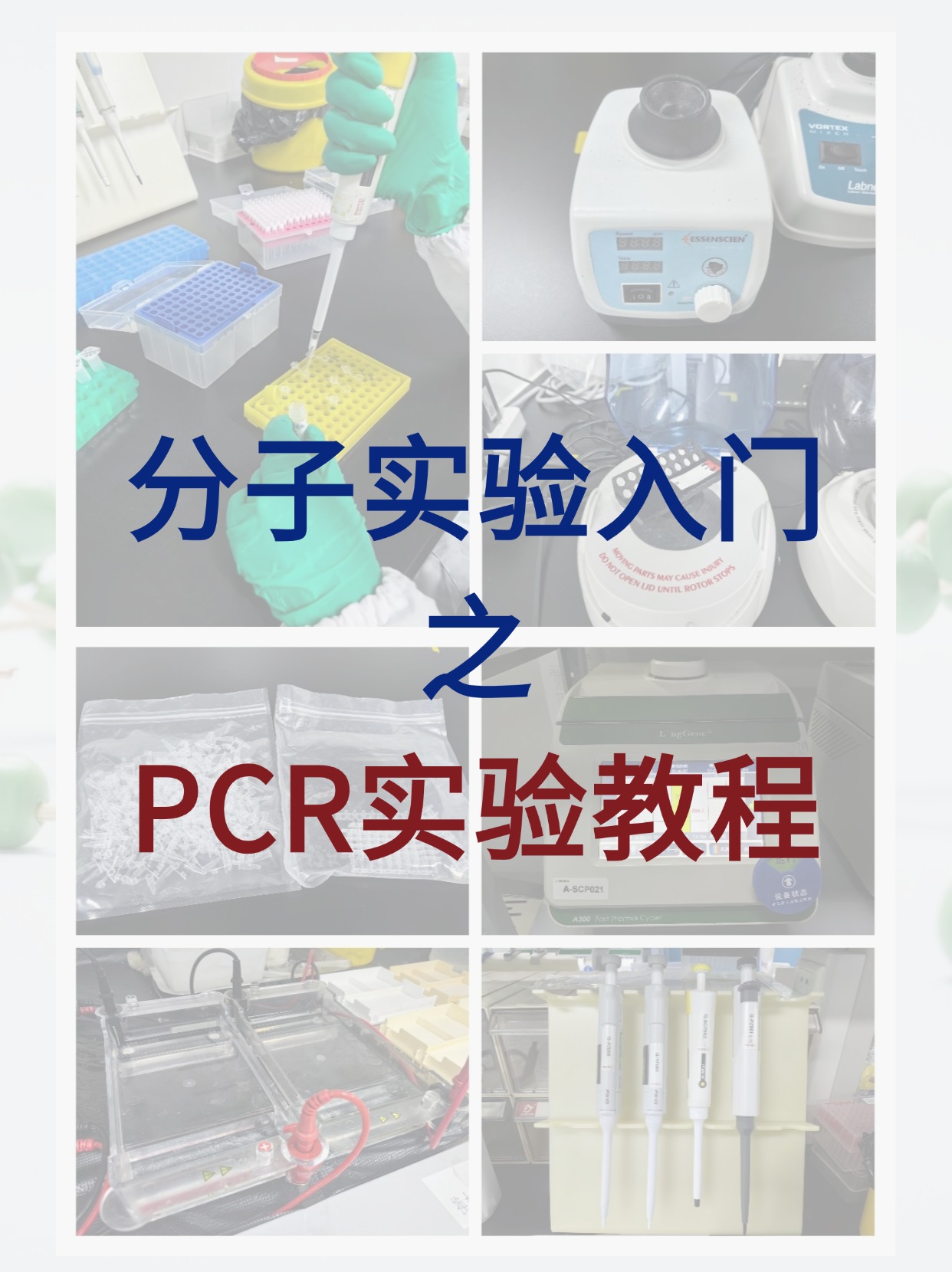 彩名堂-精准展望, 专业剖析