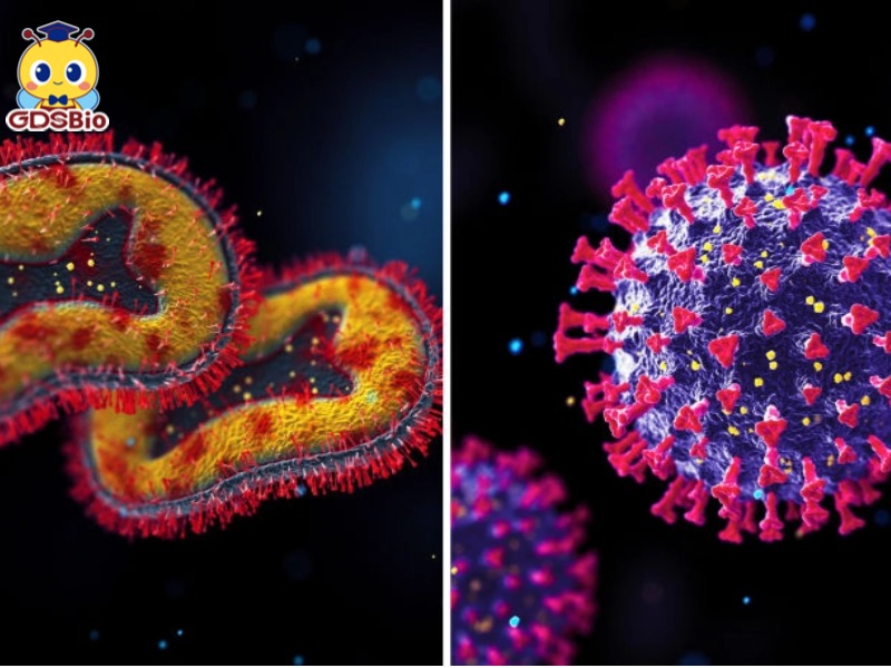 彩名堂-精准展望, 专业剖析